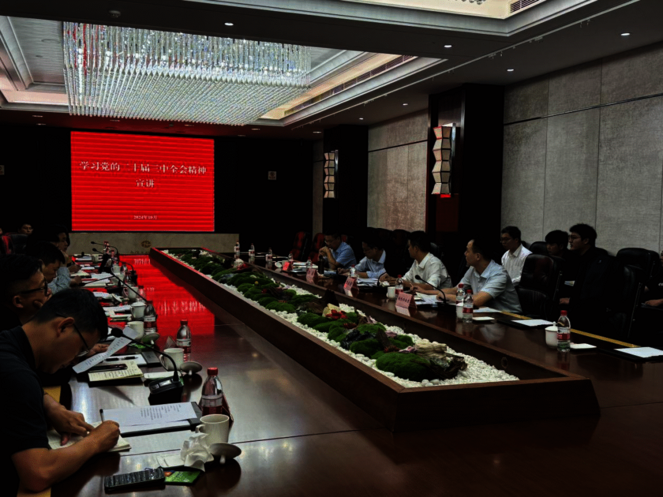 土地集团党委多形式深入学习党的二十届三中全会精神