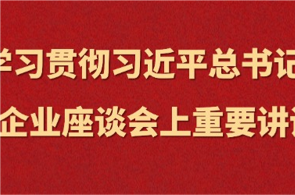 J9集团国际站集团集中进建习近平总书记在民营企业座谈会上沉要讲话心灵