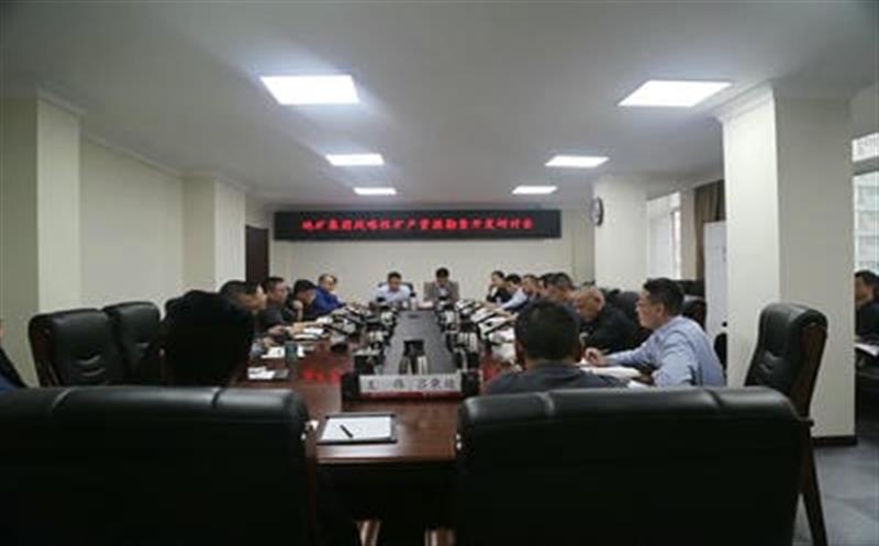 集团总工程师李仕荣赴地矿集团调研战略性矿产腾龙国际平台勘查开发工作