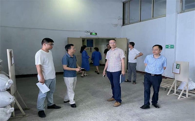 省自然腾龙国际平台投资集团安全检查第四督导小组到泰华堂制药进行安全生产检查
