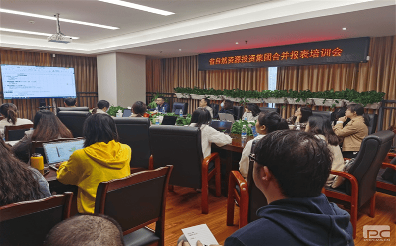 四川腾龙国际平台开展合并报表专题培训会
