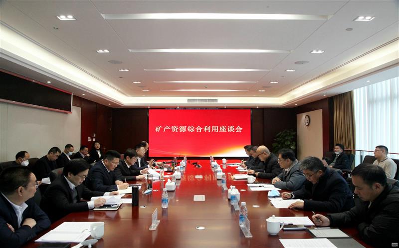 布局新赛道 开创新产业 | 集团联合综合所进军矿产腾龙国际平台综合利用领域