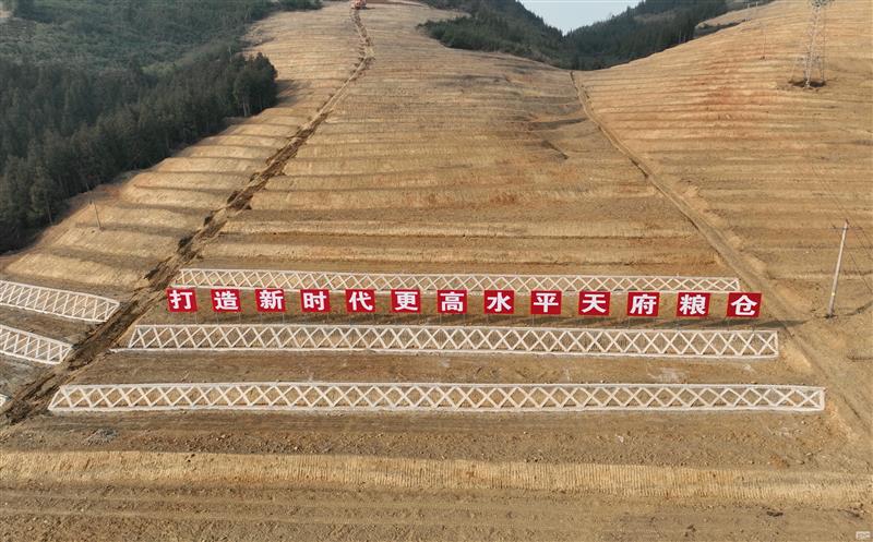 系统性谋划，，，，，，，高标准实施——四川腾龙国际平台助力建设新时代更高水平“天府粮仓”