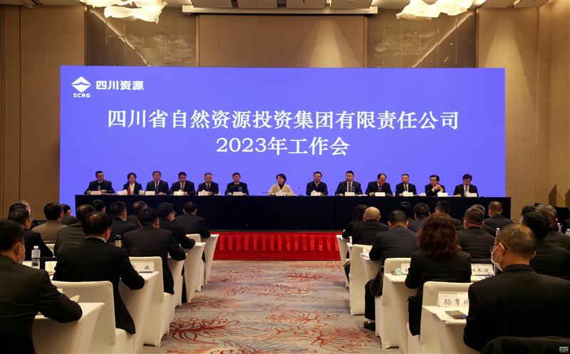 省自然腾龙国际平台投资集团召开2023年工作会议