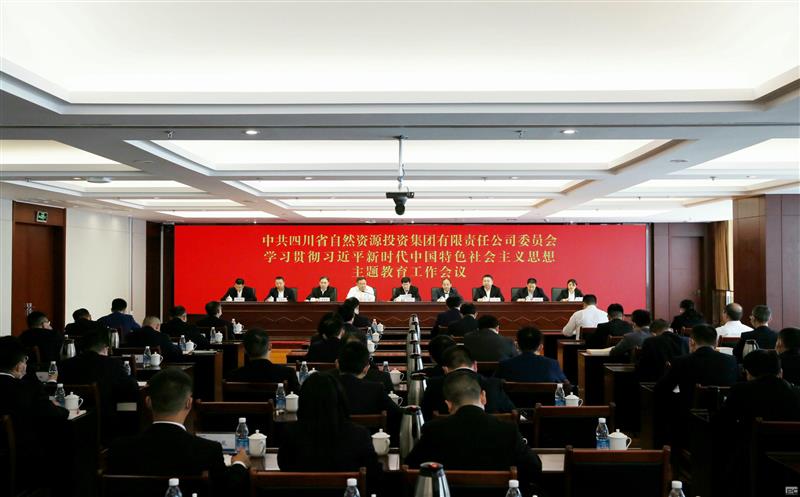 省自然腾龙国际平台投资集团召开学习贯彻习近平新时代中国特色社会主义思想主题教育工作会议