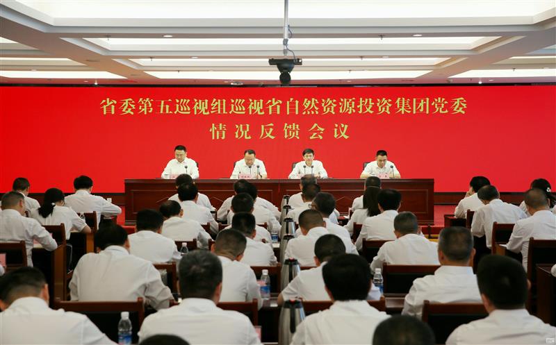 中共四川省委第五巡视组向省自然腾龙国际平台投资集团党委反馈巡视情况