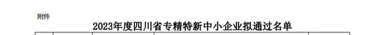 腾龙国际平台(中国区) - 官方网站