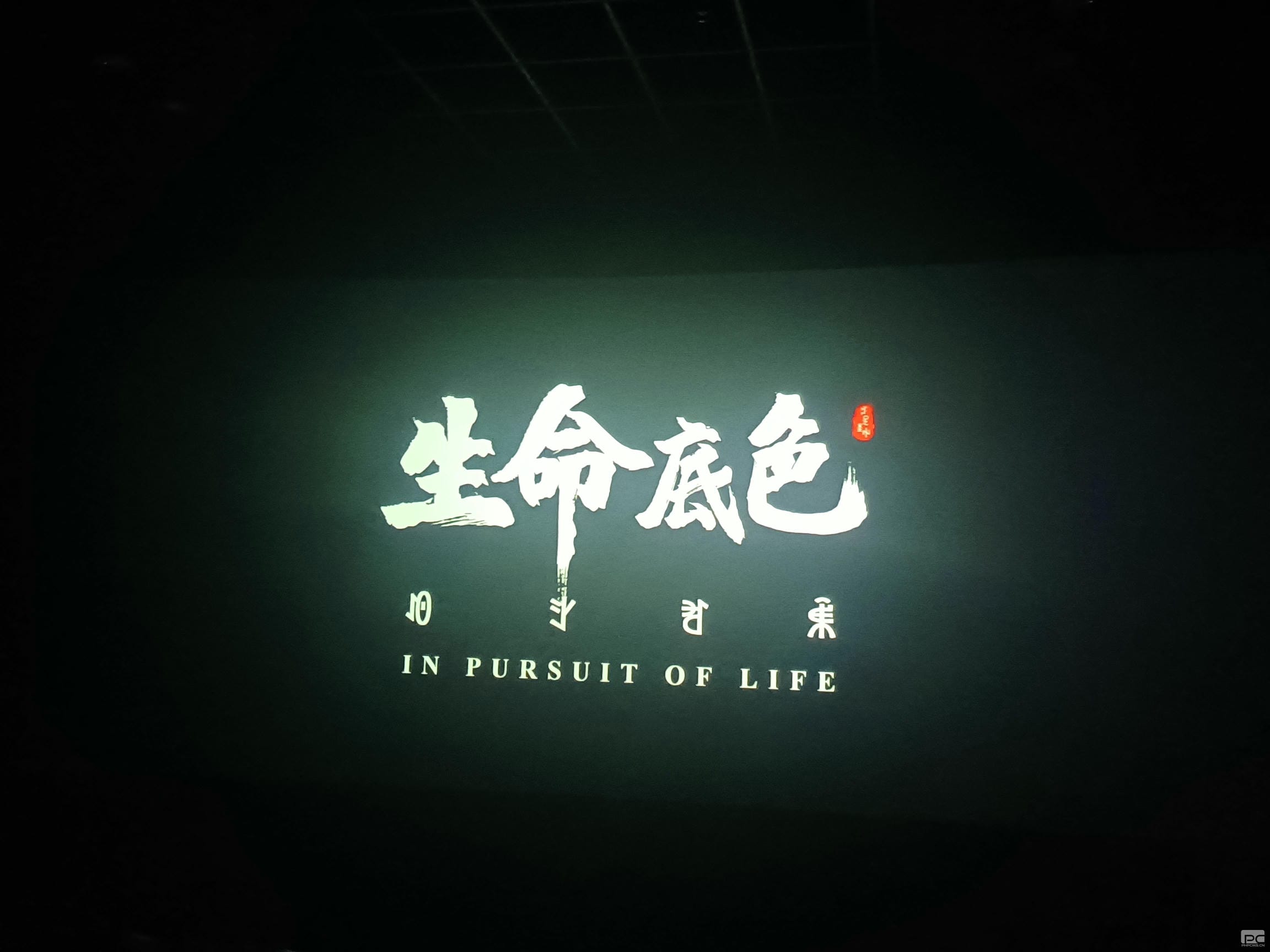 腾龙国际平台(中国区) - 官方网站