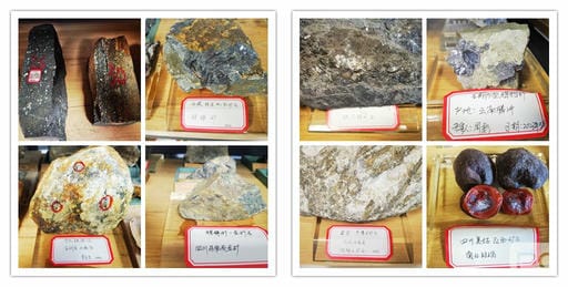 腾龙国际平台(中国区) - 官方网站