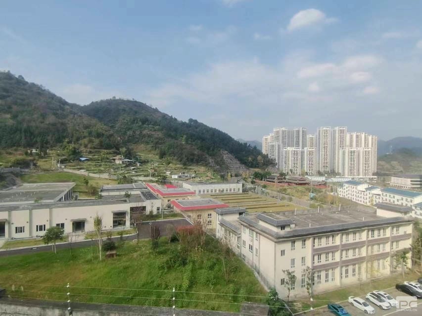 腾龙国际平台(中国区) - 官方网站
