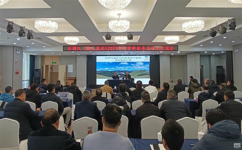 互学互鉴，，，，，，，，共同进步——区调队（容大集团）召开2023年度资料检查及技术交流会