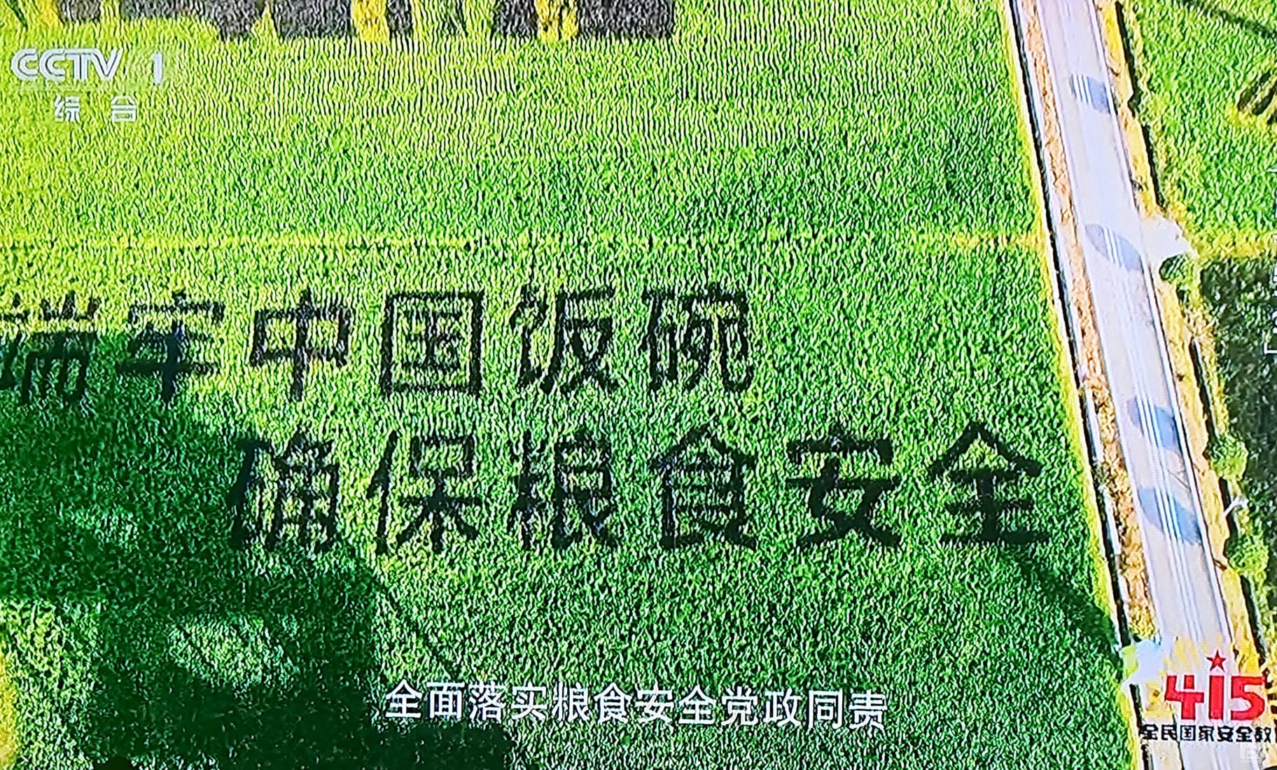 腾龙国际平台(中国区) - 官方网站