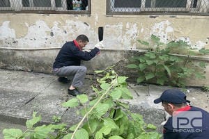 腾龙国际平台(中国区) - 官方网站