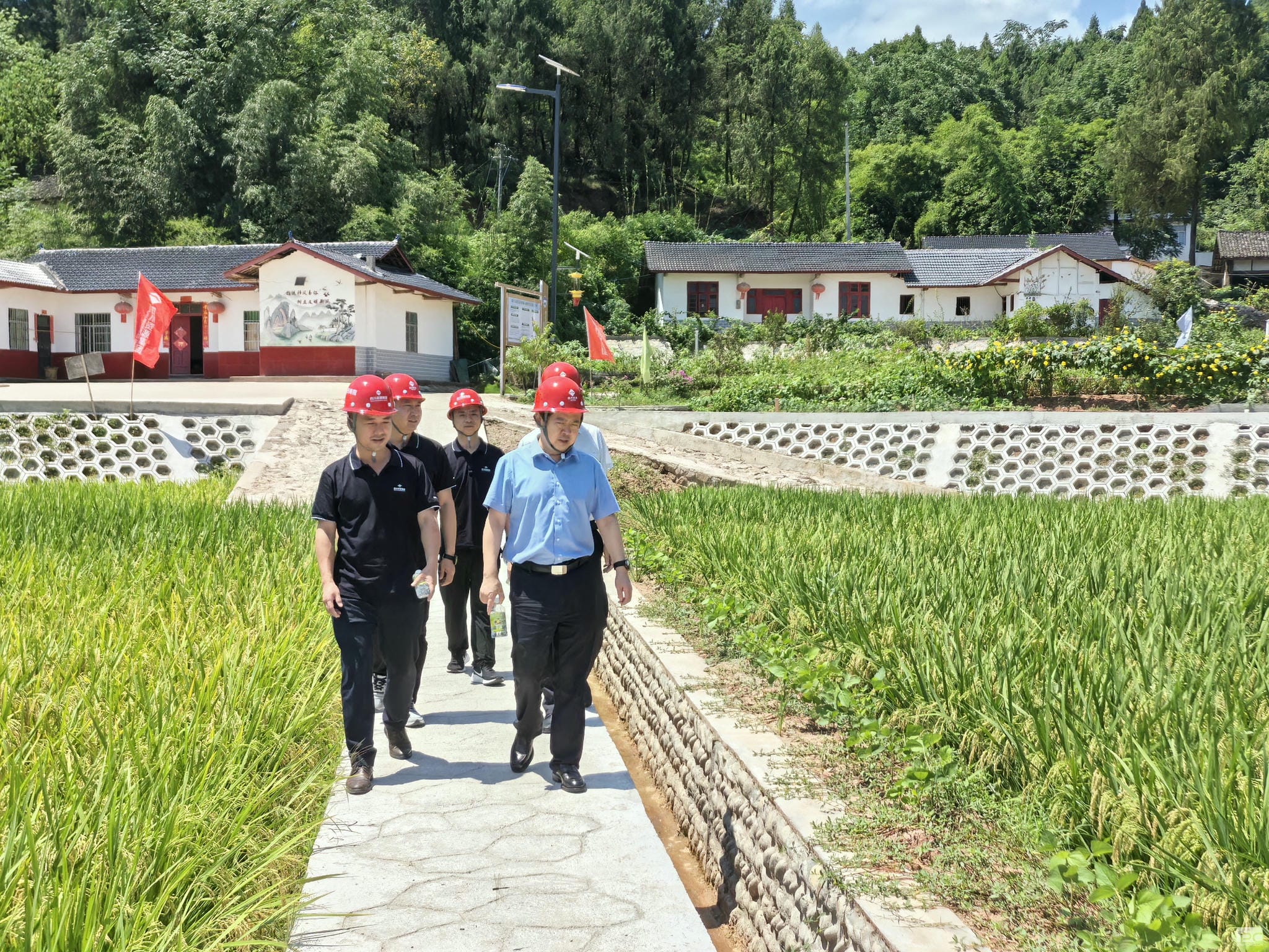 腾龙国际平台(中国区) - 官方网站