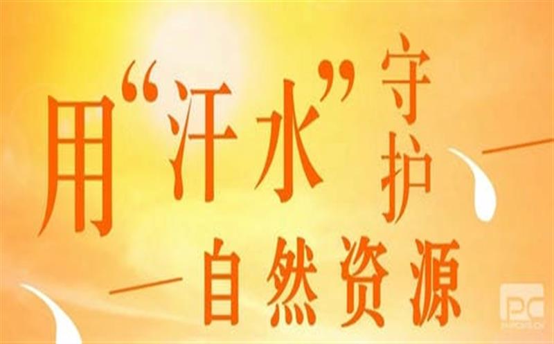 直面“烤”验 腾龙国际平台有我（一）