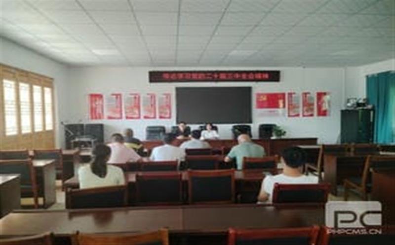 学习党的二十届三中全会精神，，，，，，，，华锋钻探助力乡村振兴新征程