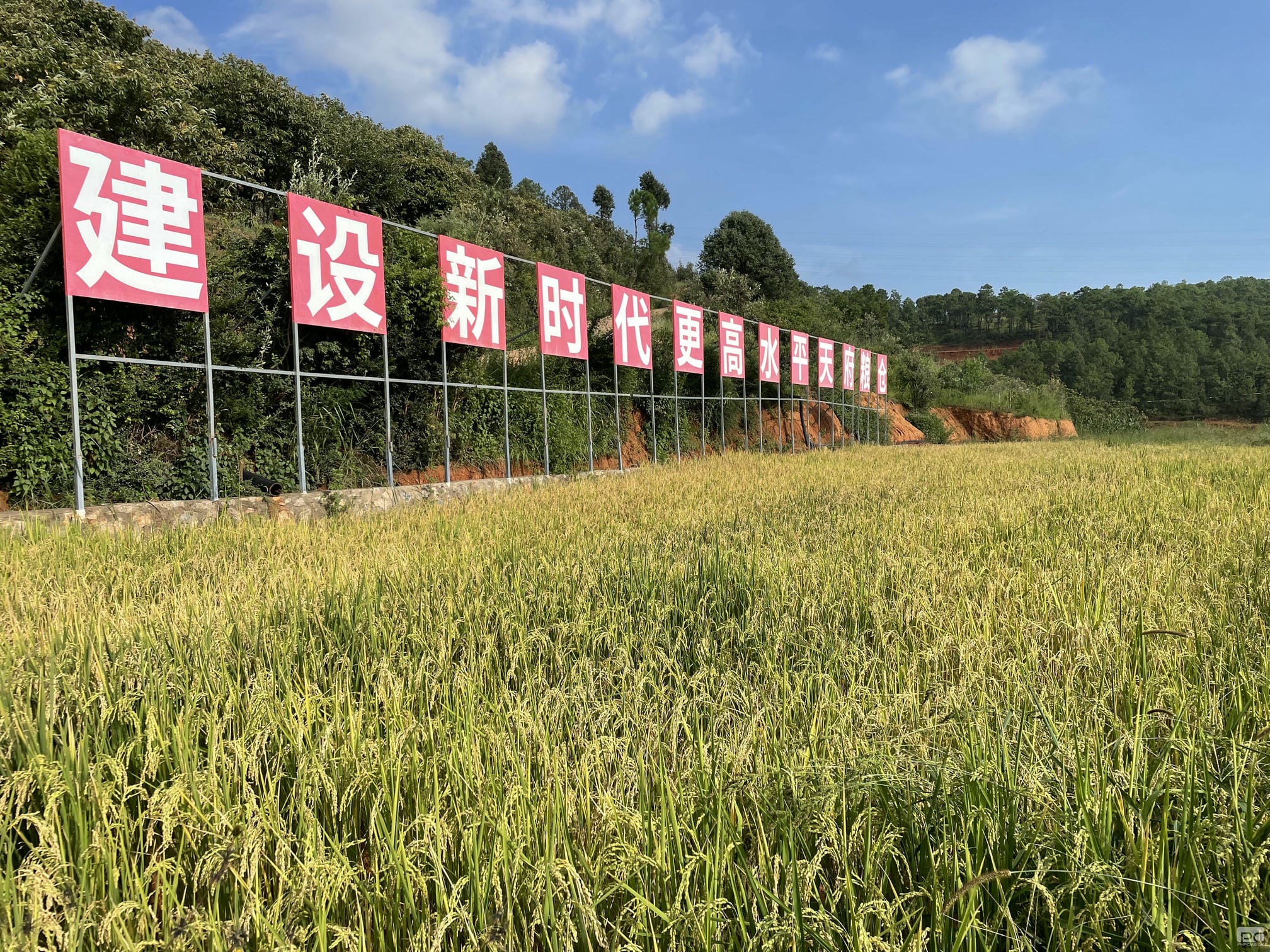 腾龙国际平台(中国区) - 官方网站