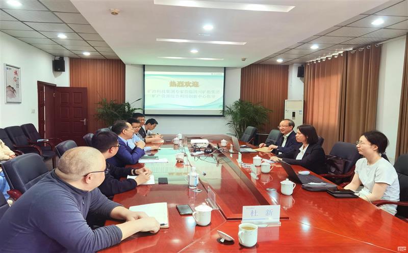 加强矿石基因特性研究 助力腾龙国际平台高效开发利用 | 矿勘集团战略性矿产腾龙国际平台综合利用人才创新工作室举办技术交流会