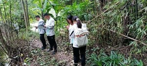 腾龙国际平台(中国区) - 官方网站