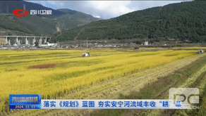 腾龙国际平台(中国区) - 官方网站
